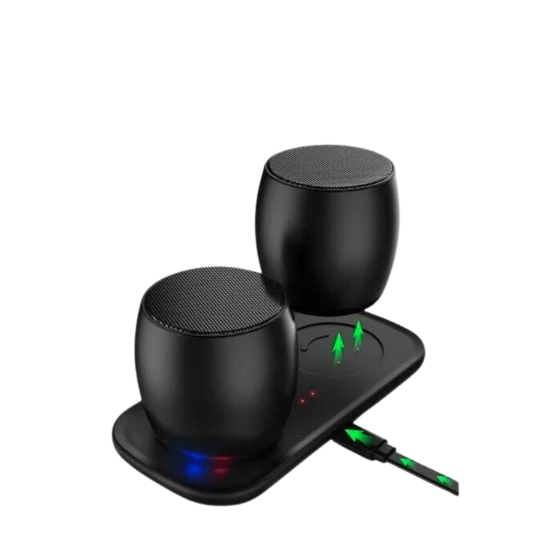 Gemini Mini Twin Speakers | BBTEK