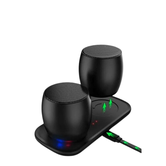 Mini Twin Speakers