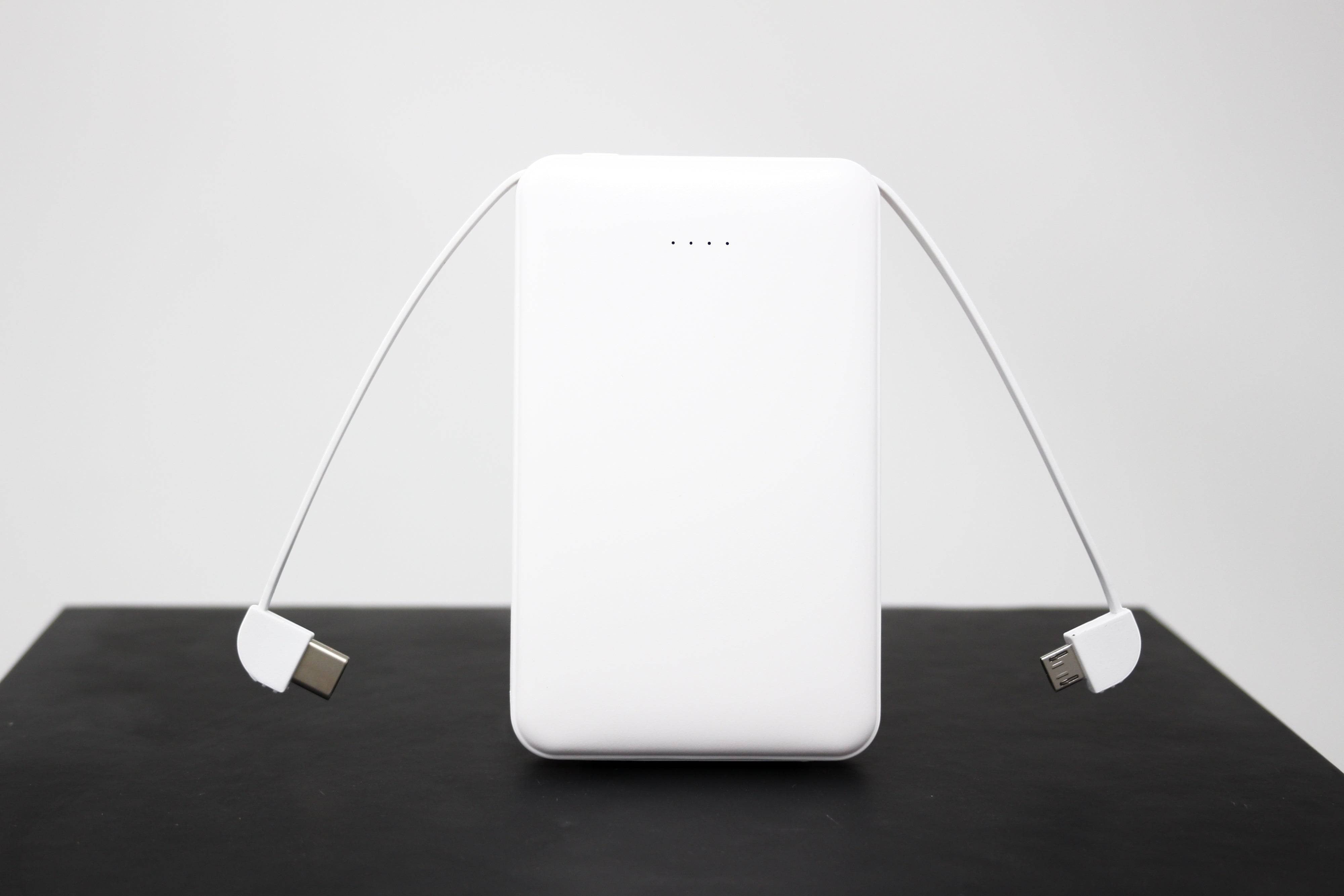 BirdieBox white polymer powerbank with 5000 MAH capacity and built-in USB-C and Micro USB cables. Features battery indicator lights.